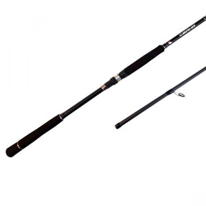 Canne MajorCraft Ceana Seabass 802ML - 2.44m 10-30g