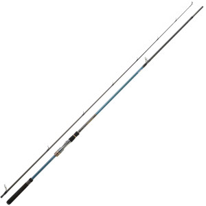 Daiwa Tournament Sw Ags 1002 HXH 305cm 14-56g