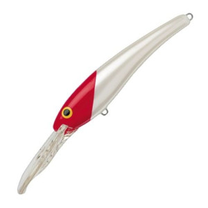 Poisson Nageur Storm Deep Thunder 11cm