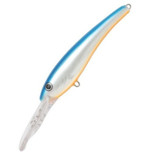 Poisson Nageur Storm Deep Thunder 15cm