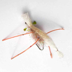 Teaser Real Shrimp Teaz