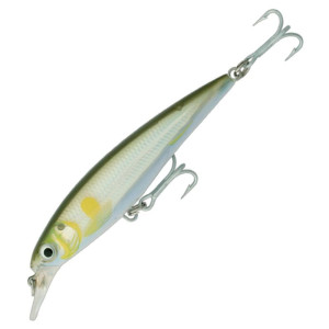 Jerkbait Rapala X-Rap Saltwater 12cm