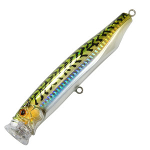 Tackle House Feed Popper 120