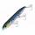 Sardine (445)