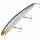 Zebra Sardine
