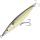 Gizzard Shad
