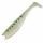 Green Iwashi