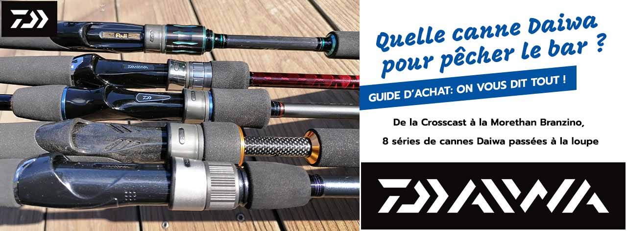article du blog: choisir sa canne Daiwa pour pêcher le bar