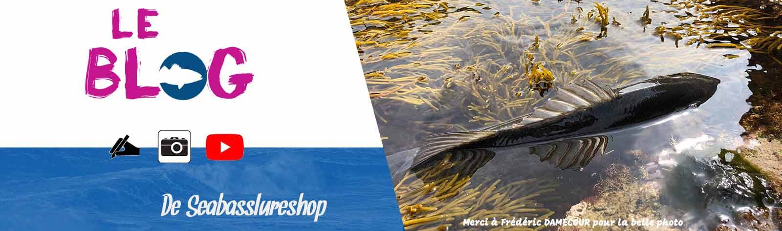 le Blog pêche du bar de sea bass lure shop, merci à Frédéric Damecour pour la belle photo ! blog pêche du bar