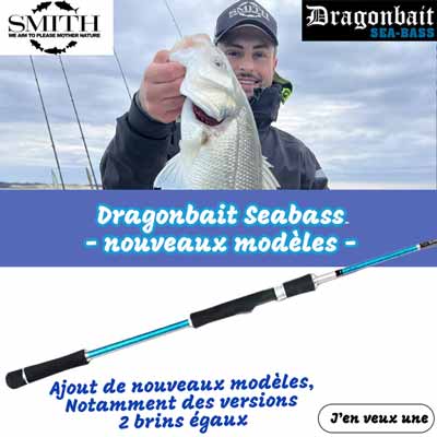 arrivage de cannes Dragonbait Seabass