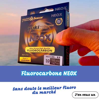 Seaguar Neox