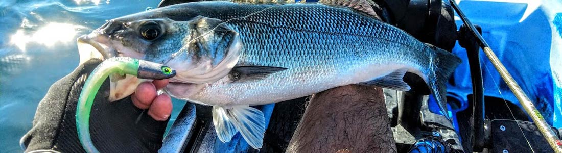 test du Talashad Astufish