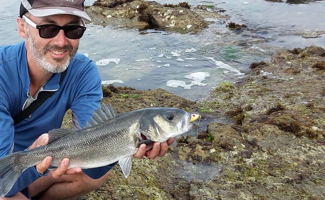 les joies de la pêche du bar depuis la côte